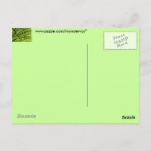 Carte postale Feuille verte (Dos)