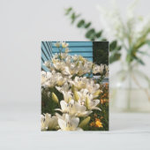 Carte postale Feuille verte Lys White Day (Debout devant)