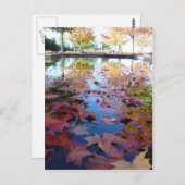 Carte Postale Feuilles (Devant / Derrière)