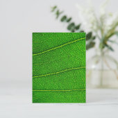 Carte Postale feuilles (Debout devant)