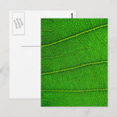 Carte Postale feuilles (Devant / Derrière)