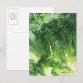 Carte Postale Feuilles (Devant / Derrière)