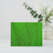 Carte Postale feuilles (Debout devant)