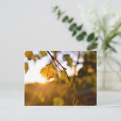 Carte Postale Feuilles à Sunset (Debout devant)