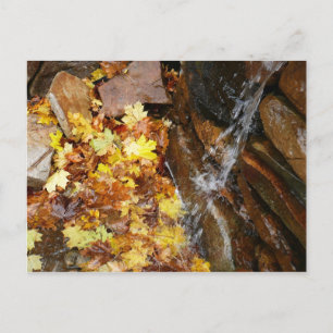 Carte Postale Feuilles automnales dans la cascade III Automne Na