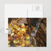Carte Postale Feuilles automnales dans la cascade III Automne Na (Devant / Derrière)