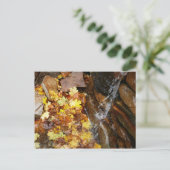 Carte Postale Feuilles automnales dans la cascade III Automne Na (Debout devant)