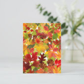 Carte Postale Feuilles automnales d'automne (Debout devant)