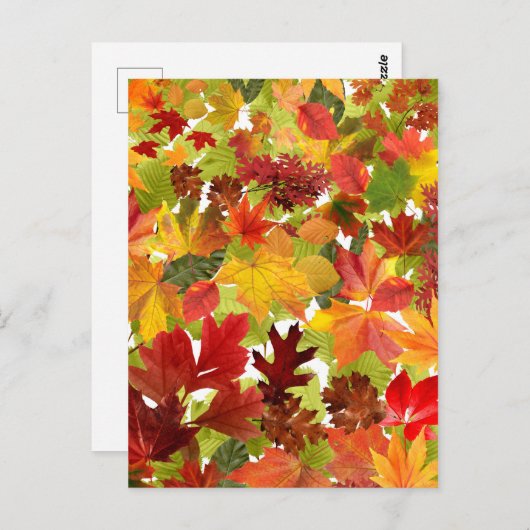 Carte Postale Feuilles automnales d'automne (Devant / Derrière)