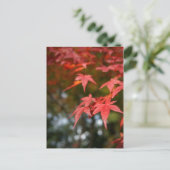 Carte postale Feuilles Automne (Debout devant)