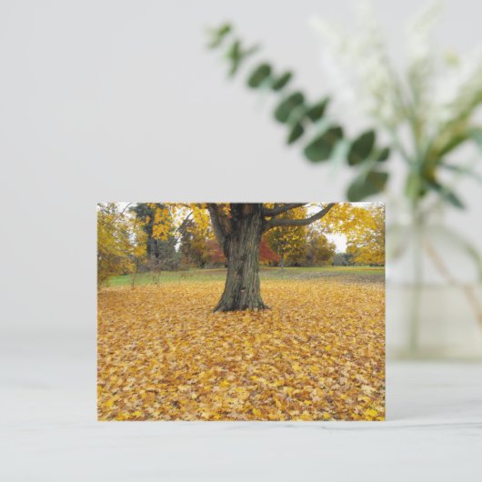 Carte postale Feuilles Automne (Debout devant)