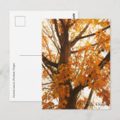 Carte postale Feuilles Automne (Devant / Derrière)