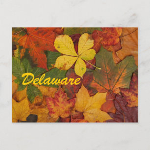 Carte postale Feuilles Automne Delaware