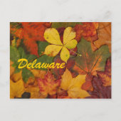 Carte postale Feuilles Automne Delaware (Devant)