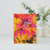 Carte Postale Feuilles Automne Rouge Et Jaune (Debout devant)