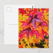 Carte Postale Feuilles Automne Rouge Et Jaune (Devant / Derrière)