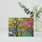 Carte Postale Feuilles colorées (Debout devant)