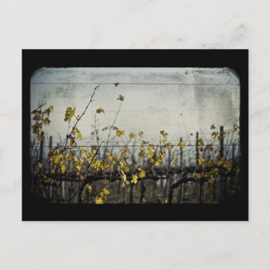 Carte Postale Feuilles d'automne (Devant)