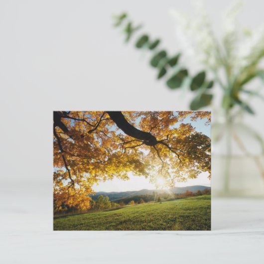 Carte Postale Feuilles d'automne (Debout devant)