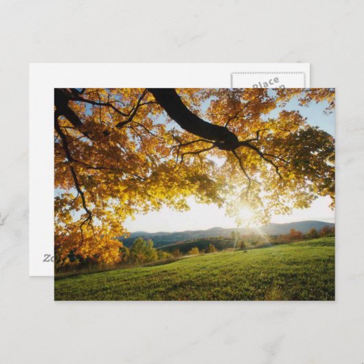 Carte Postale Feuilles d'automne (Devant / Derrière)