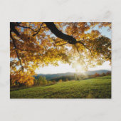 Carte Postale Feuilles d'automne (Devant)