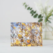 Carte Postale Feuilles d'automne (Debout devant)