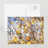 Carte Postale Feuilles d'automne (Devant / Derrière)