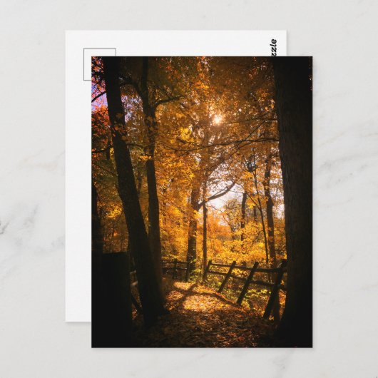 Carte Postale Feuilles d'automne (Devant / Derrière)