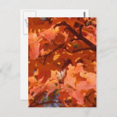 Carte Postale Feuilles d'automne (Devant / Derrière)
