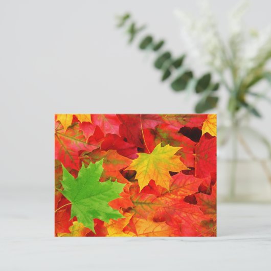 Carte Postale Feuilles d'automne (Debout devant)