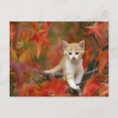 Carte Postale Feuilles d'automne (Devant)