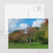 Carte Postale Feuilles d'automne (Devant / Derrière)