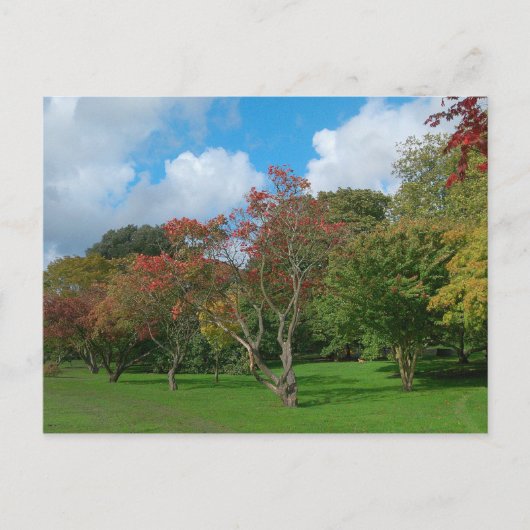 Carte Postale Feuilles d'automne (Devant)