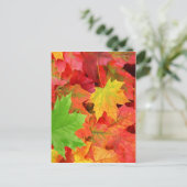 CARTE POSTALE FEUILLES D'AUTOMNE (Debout devant)