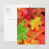 CARTE POSTALE FEUILLES D'AUTOMNE (Devant / Derrière)