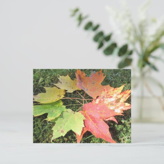Carte Postale Feuilles d'automne (Debout devant)