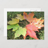 Carte Postale Feuilles d'automne (Devant / Derrière)