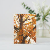 Carte Postale Feuilles d'automne (Debout devant)