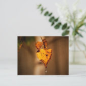 Carte Postale Feuilles d'automne (Debout devant)