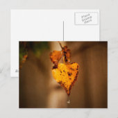 Carte Postale Feuilles d'automne (Devant / Derrière)