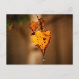 Carte Postale Feuilles d'automne