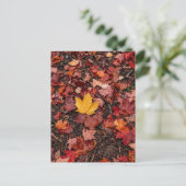 Carte Postale Feuilles d'automne (Debout devant)