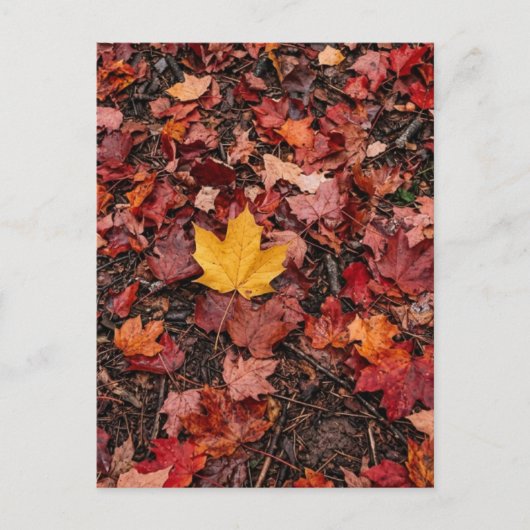 Carte Postale Feuilles d'automne (Devant)