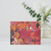 Carte Postale - Feuilles d'Automne (Debout devant)