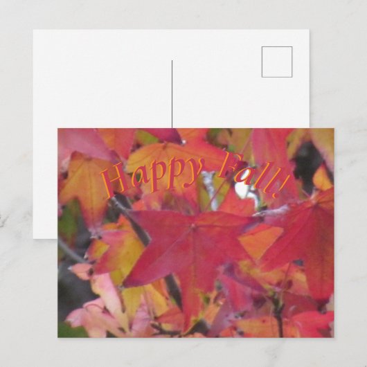 Carte Postale - Feuilles d'Automne (Devant / Derrière)