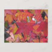 Carte Postale - Feuilles d'Automne (Devant)