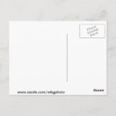 Carte Postale Feuilles d'automne (Dos)