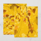 Carte Postale Feuilles d'automne 3 (Devant / Derrière)