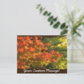 Carte Postale Feuilles d'automne 7 (Debout devant)