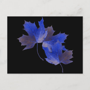 Carte Postale Feuilles d'automne bleues